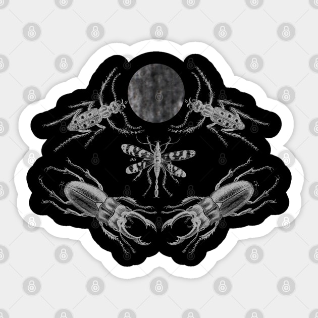 Entomology Sphere Sticker by RAdesigns